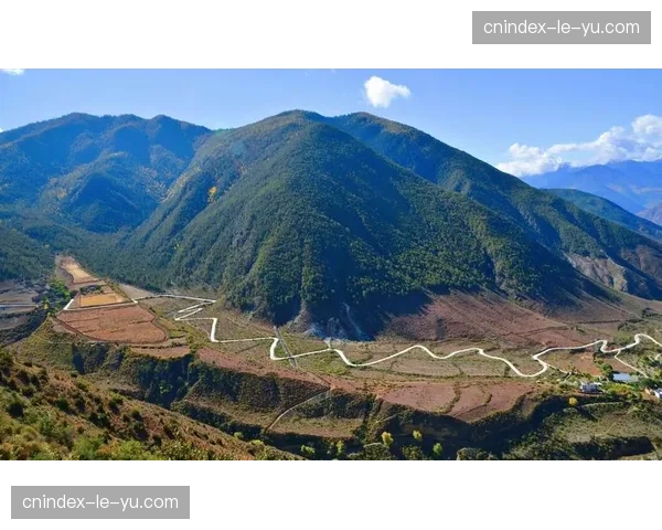 轻量化制播协议栈发布 低功耗设备现已支持高清制播